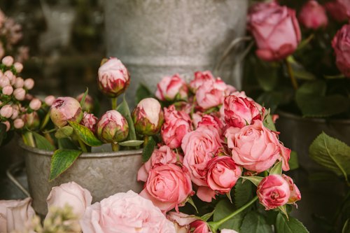 Flowers on display